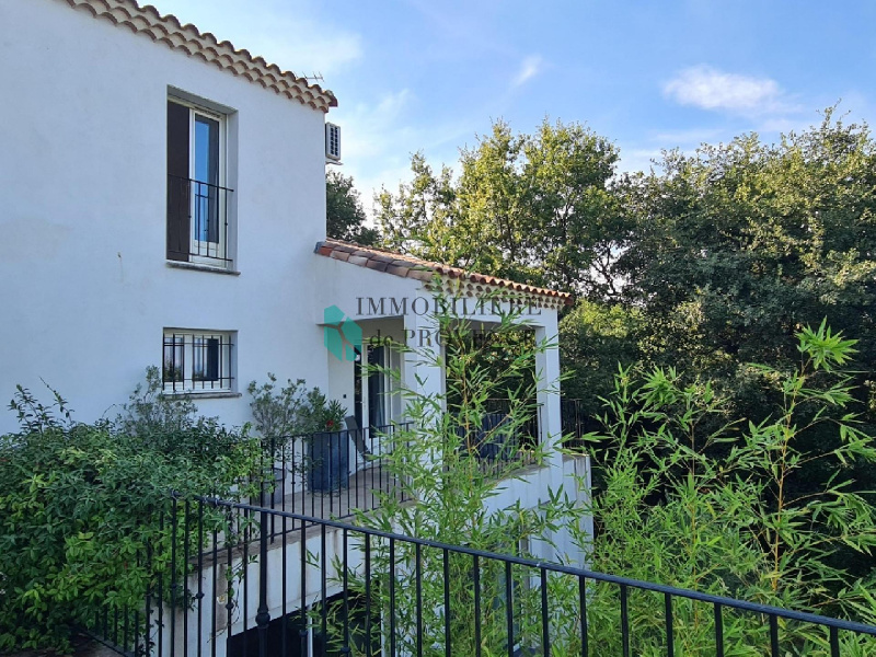 IMMOBILIERE DE PROVENCE, SALE Villas, ref. : 964 / 723001