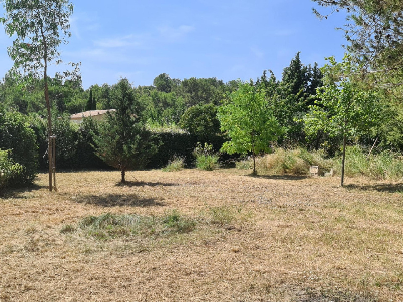 IMMOBILIERE DE PROVENCE, VENTE Terrains, réf : 964 / 722781